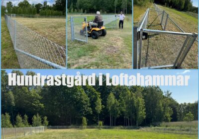 Hundrastgård