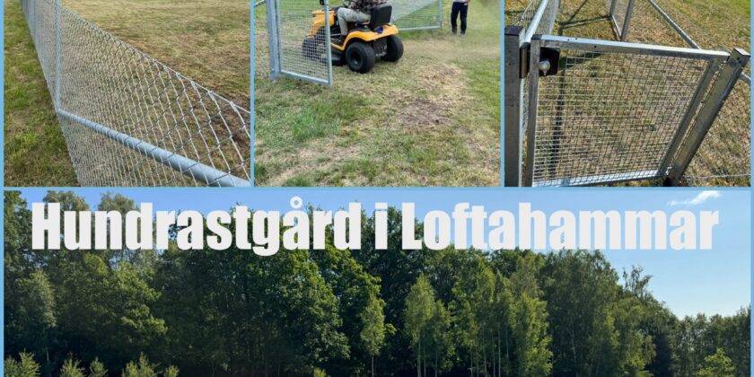 Hundrastgård i Loftahammar 